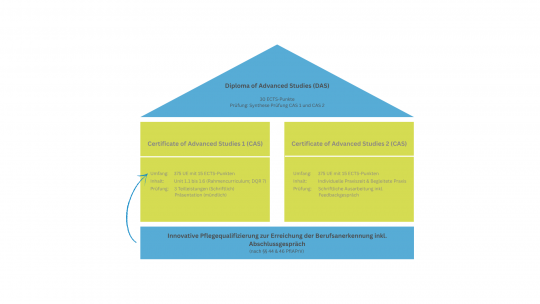 Die Abbildung veranschaulicht den Aufbau der Innovative Pflegequalifizierung.